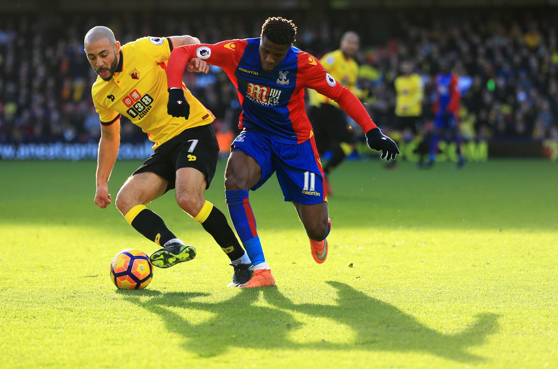 A众多激动 A众多激动